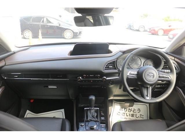 Mazda CX-30 2020-01 17590-12