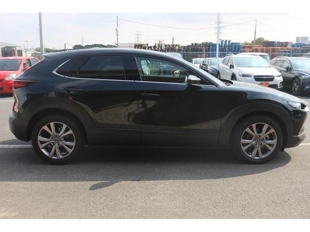 Mazda CX-30 2020-01 17590-2