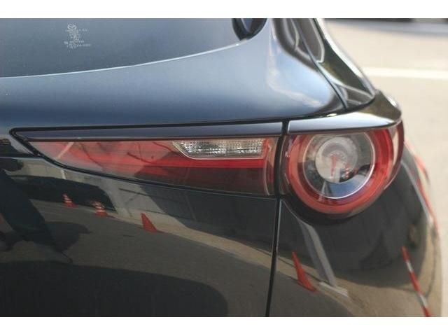 Mazda CX-30 2020-01 17590-5