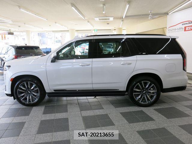 Cadillac ESCALADE 2021-12 263336-13