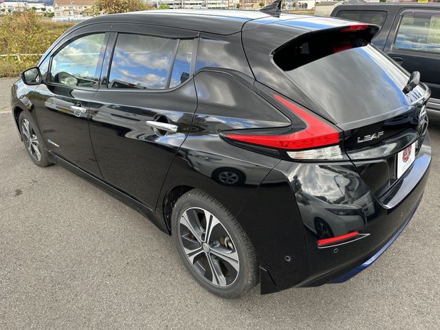 Nissan LEAF 2018-09 195989-2