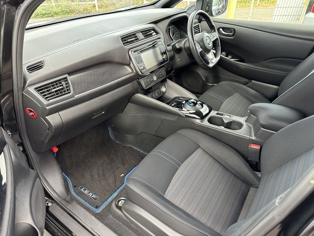 Nissan LEAF 2018-09 195989-7