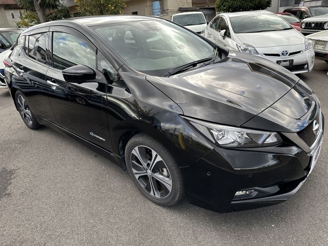 Nissan LEAF 2018-09 195989-1