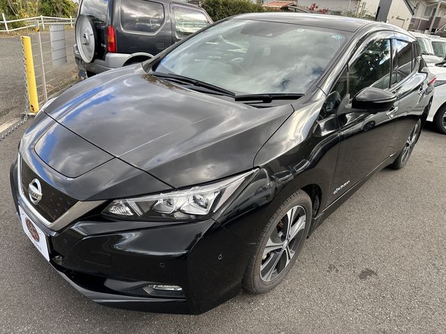 Nissan LEAF 2018-09 195989-0