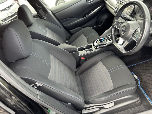 Nissan LEAF 2018-09 195989-6