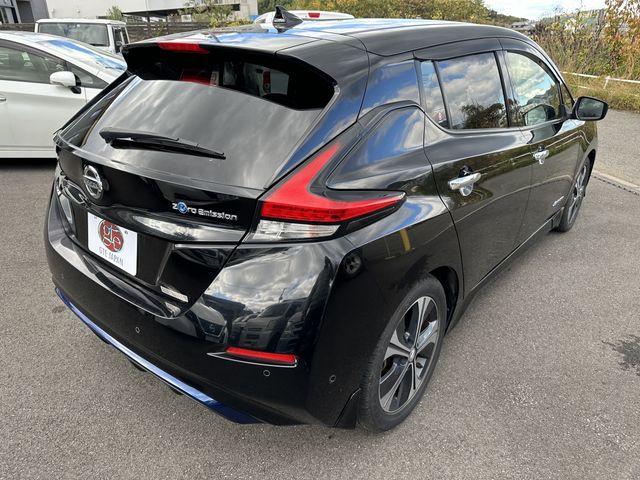Nissan LEAF 2018-09 195989-3