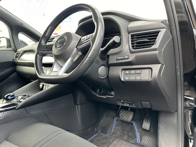 Nissan LEAF 2018-09 195989-5