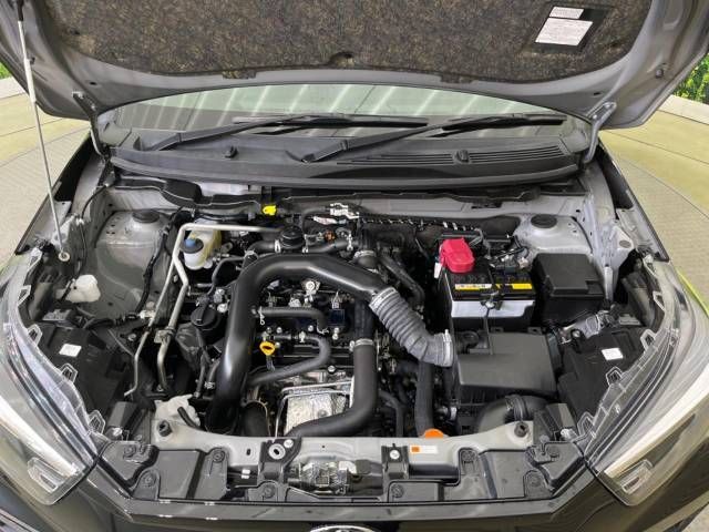 Toyota RAIZE 2020-09 8113-18