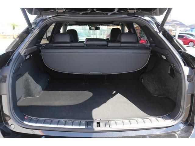 Lexus RX 2016-01 6482-12
