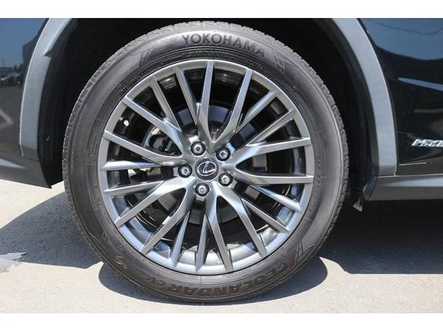 Lexus RX 2016-01 6482-8