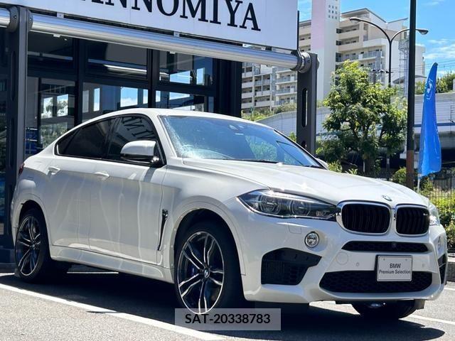 Bmw X6 2017-11 201449-5