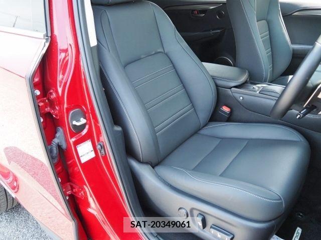 Lexus NX 2020-03 353983-10