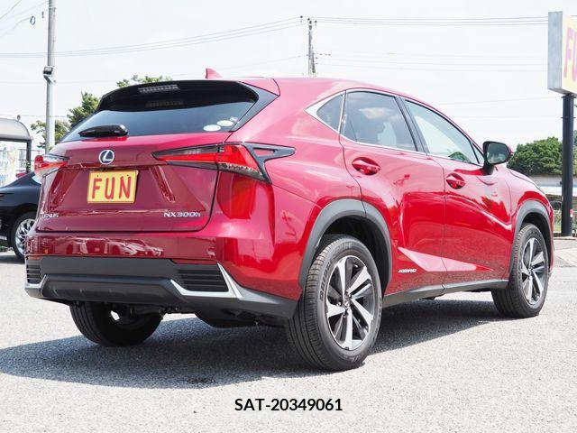 Lexus NX 2020-03 353983-4