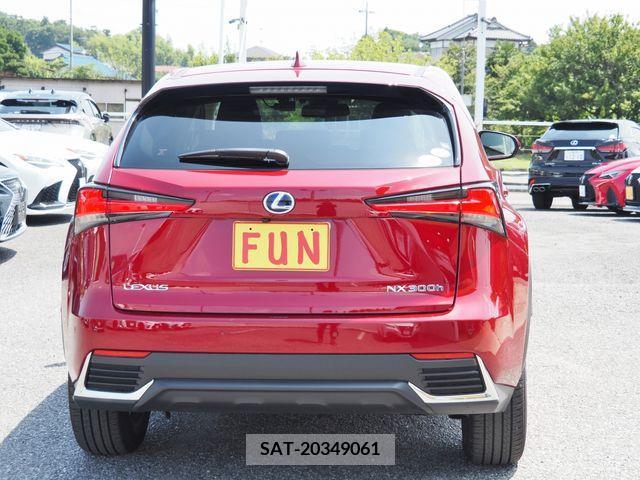 Lexus NX 2020-03 353983-6