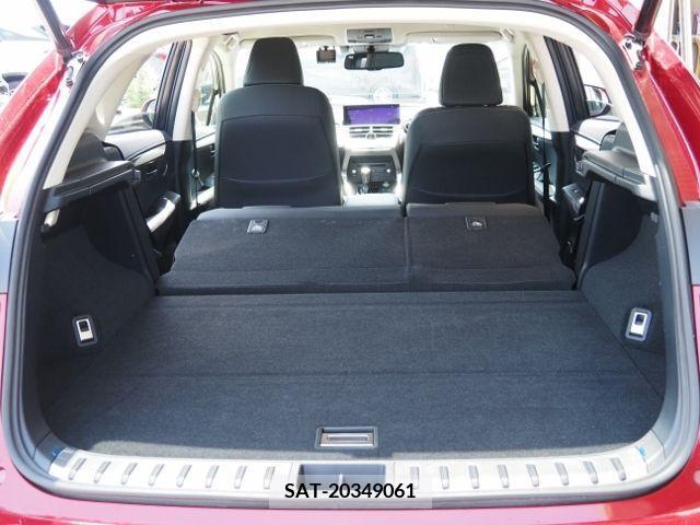 Lexus NX 2020-03 353983-14