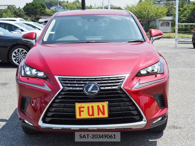 Lexus NX 2020-03 353983-1