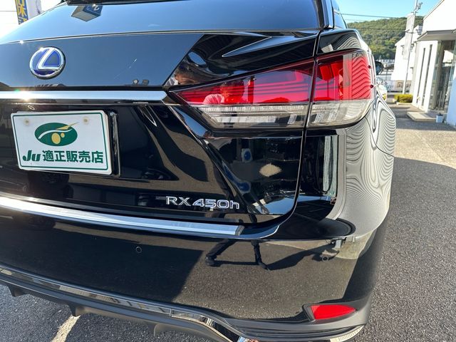 Lexus RX 2021-05 6513-13
