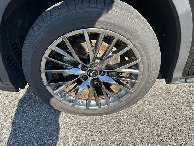 Lexus RX 2021-05 6513-8