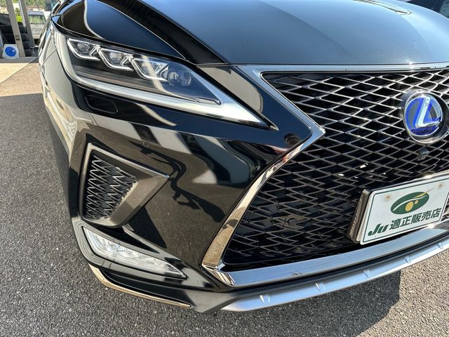 Lexus RX 2021-05 6513-2