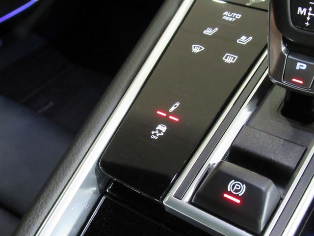 Porsche PANAMERA 2019-12 16670-17