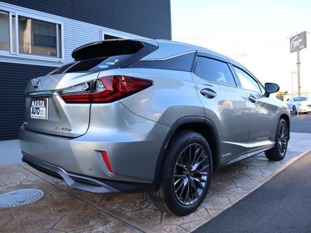 Lexus RX 2019-06 185192-6