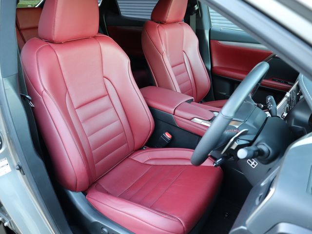 Lexus RX 2019-06 185192-8