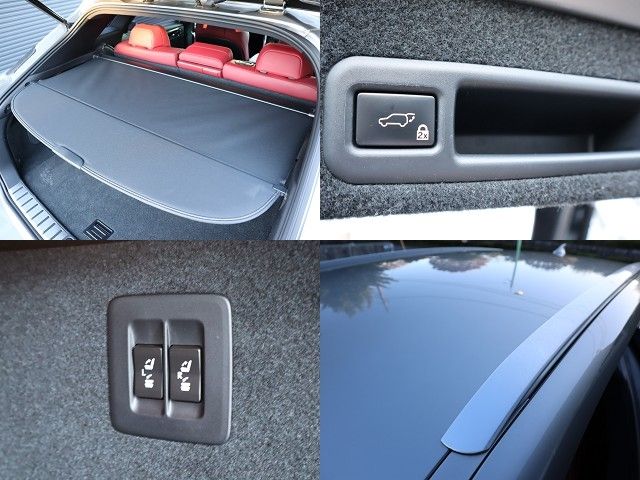 Lexus RX 2019-06 185192-24