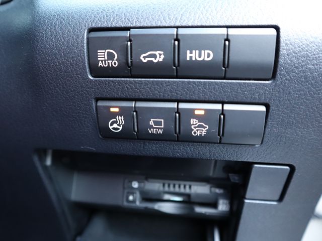 Lexus RX 2019-06 185192-20