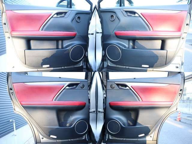 Lexus RX 2019-06 185192-26