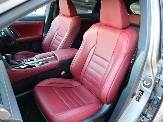 Lexus RX 2019-06 185192-9