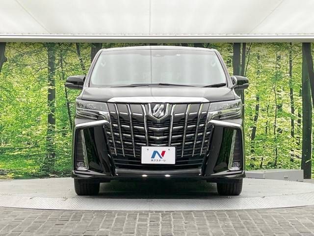 Toyota ALPHARD 2021-01 187535-17