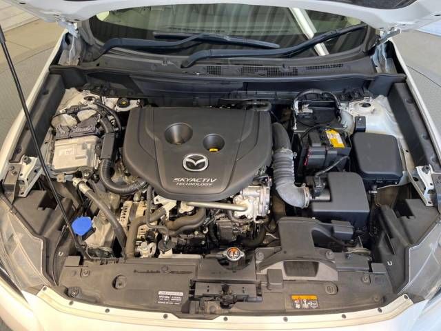 Mazda CX-3 2016-10 22841-18