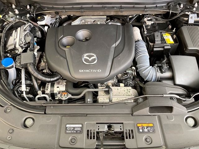 Mazda CX-8 2020-03 17061-29