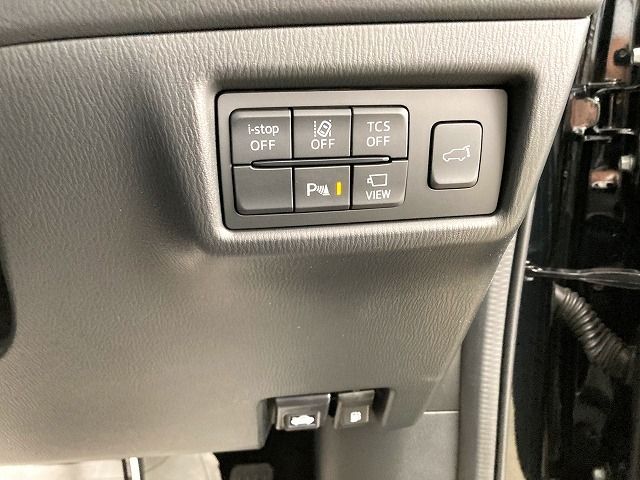 Mazda CX-8 2020-03 17061-21
