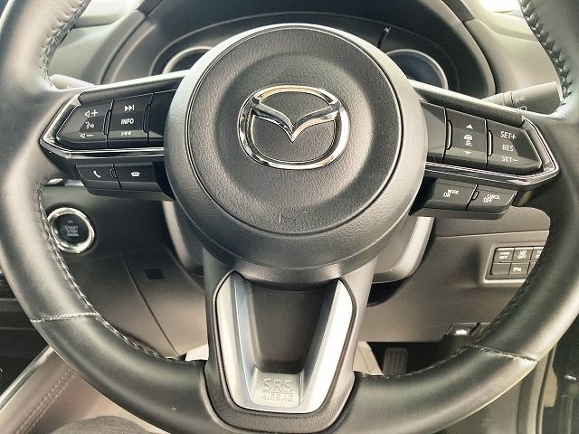 Mazda CX-8 2020-03 17061-26