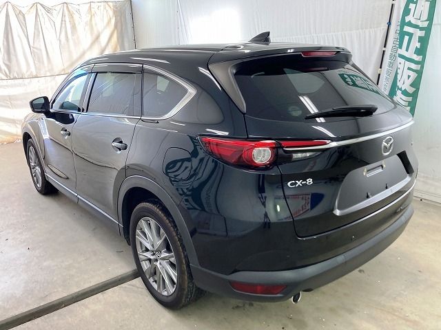 Mazda CX-8 2020-03 17061-2