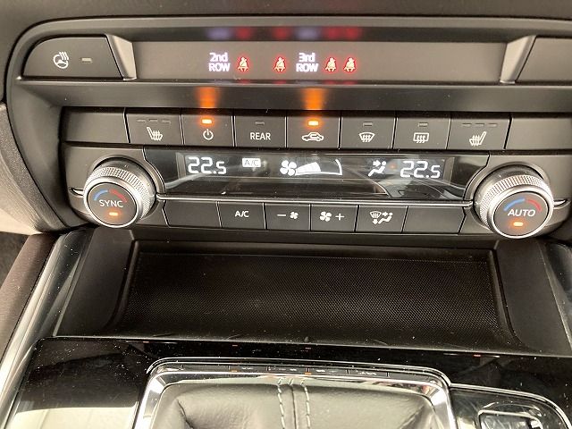 Mazda CX-8 2020-03 17061-28