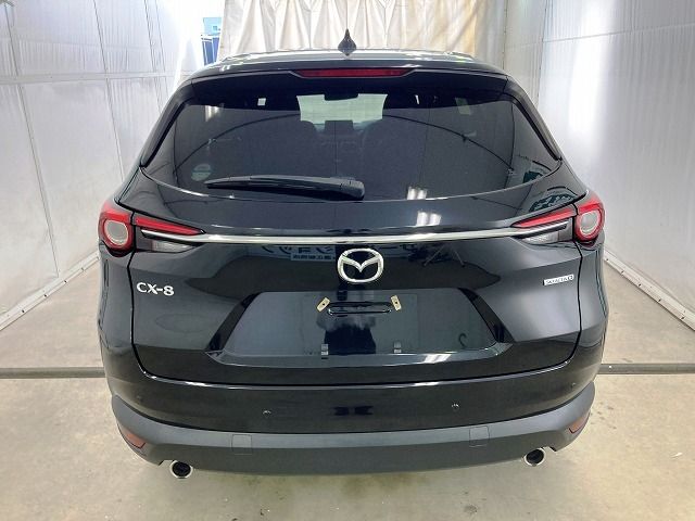 Mazda CX-8 2020-03 17061-6