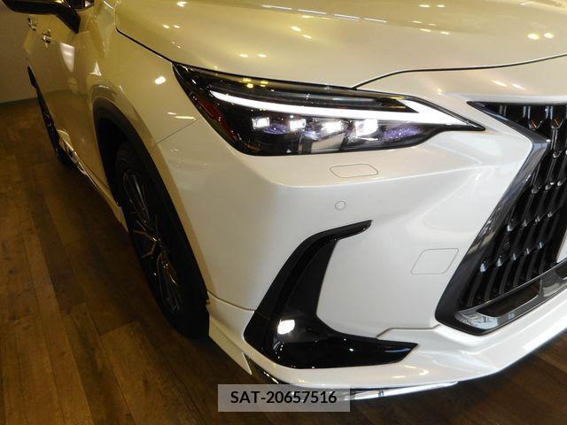 Lexus NX 2022-05 334436-28