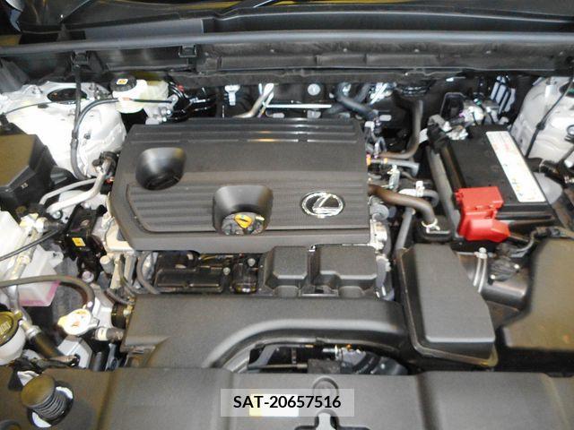Lexus NX 2022-05 334436-29
