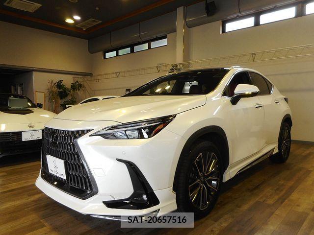 Lexus NX 2022-05 334436-0