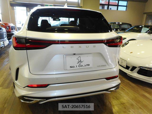 Lexus NX 2022-05 334436-4