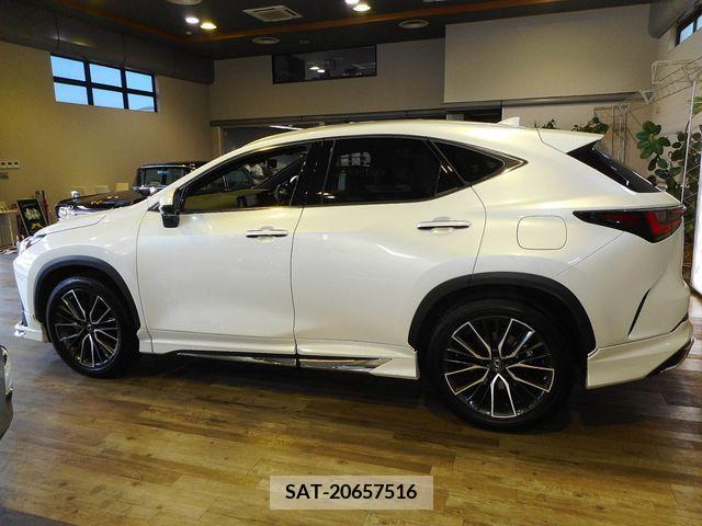 Lexus NX 2022-05 334436-6