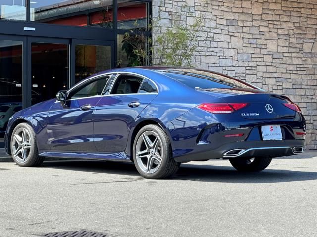 Mercedes Benz CLS-CLASS 2019-01 2327-2