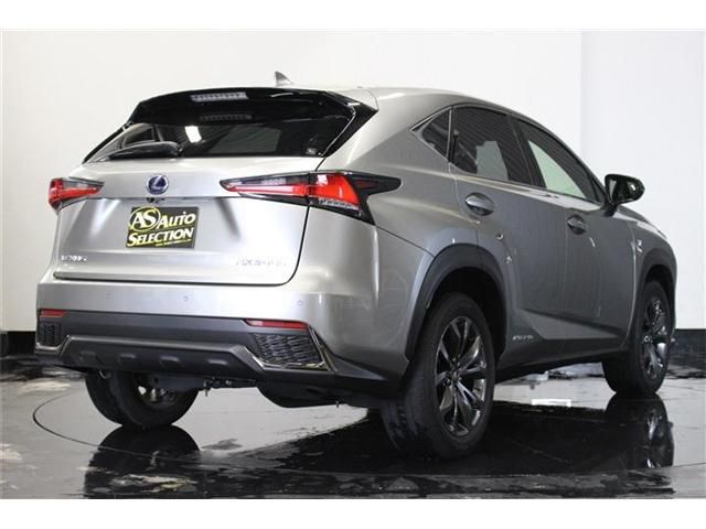 Lexus NX 2017-11 4064-24