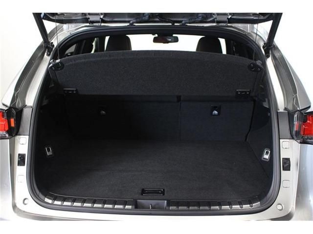 Lexus NX 2017-11 4064-27