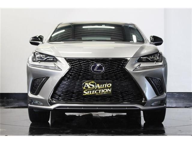 Lexus NX 2017-11 4064-20