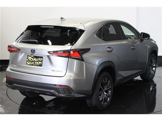 Lexus NX 2017-11 4064-10
