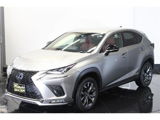 Lexus NX 2017-11 4064-9