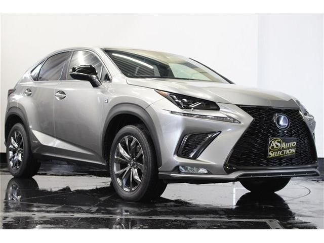 Lexus NX 2017-11 4064-22
